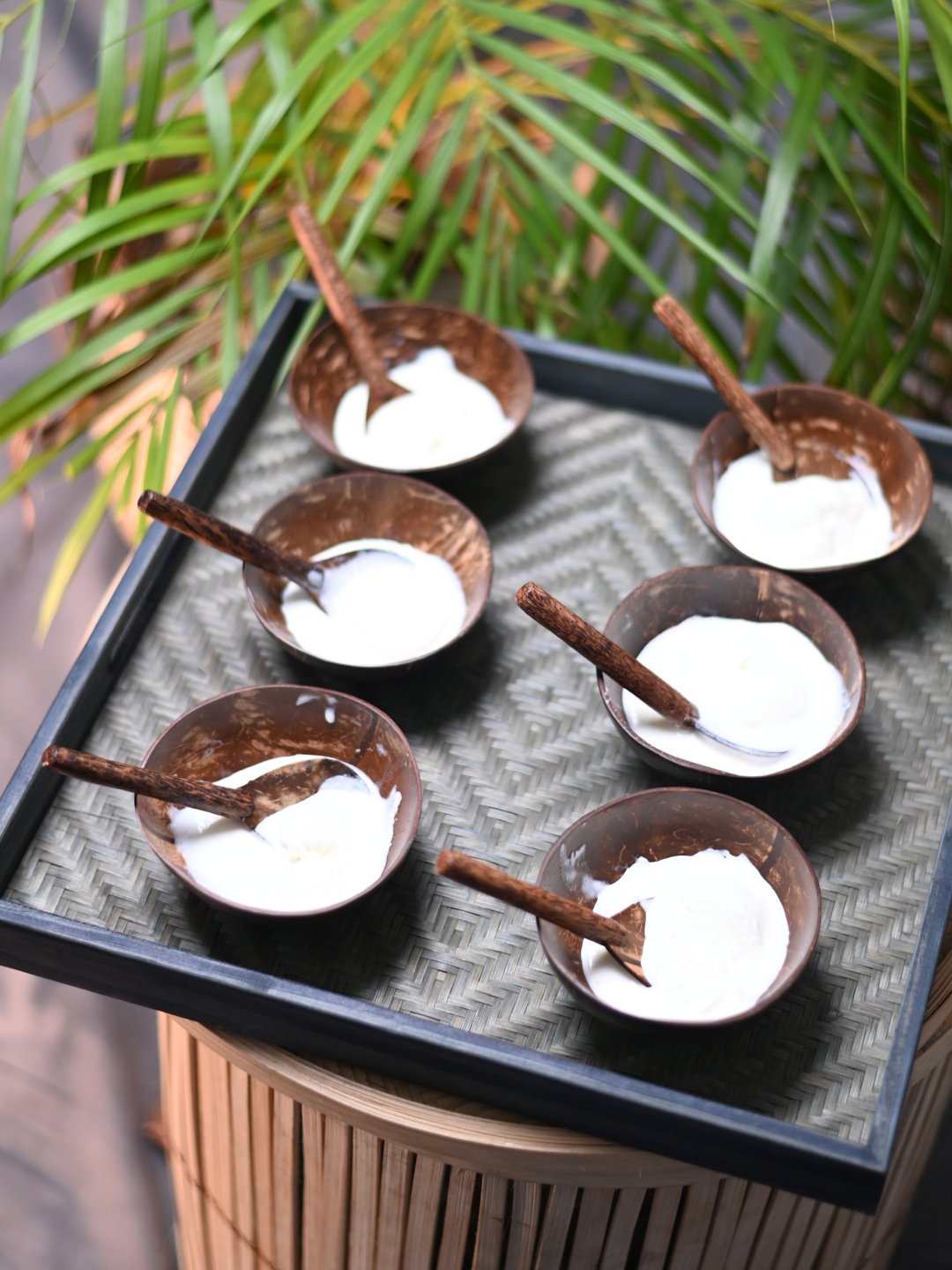 Coconut Shell Bowls with Spoon Set - Kadam Haat